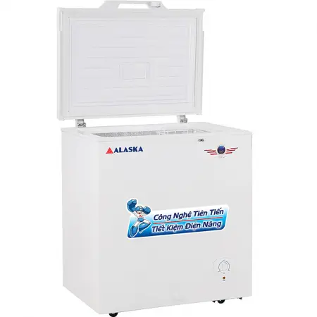 Tủ Đông Alaska 205 Lít BD-300 1