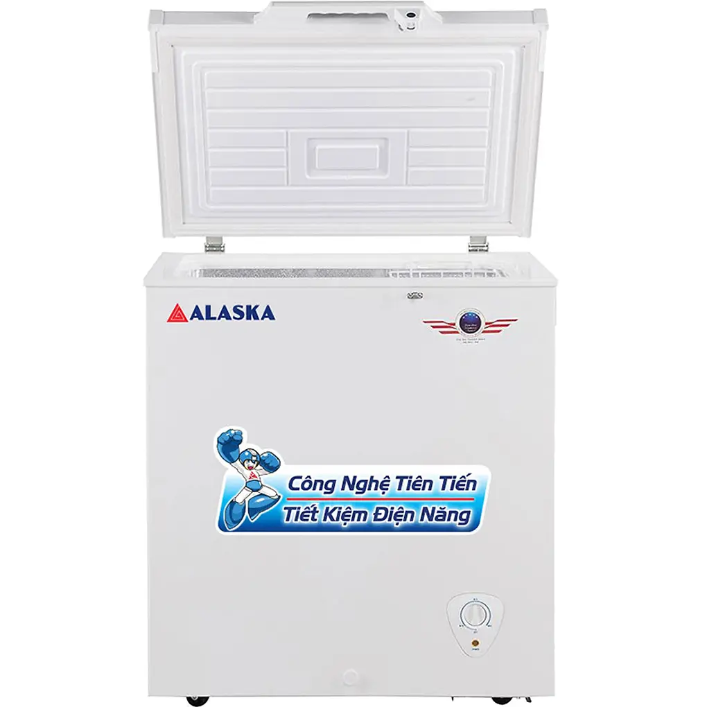 Tủ Đông Alaska 205 Lít BD-300 2