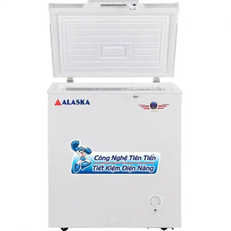 Tủ Đông Alaska 205 Lít BD-300 2