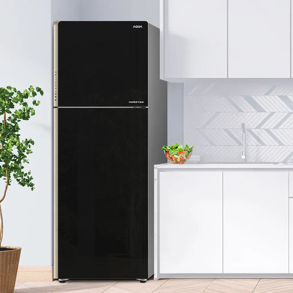 Tủ Lạnh Aqua Inverter 249 Lít AQR-IG248EN (GB) 3
