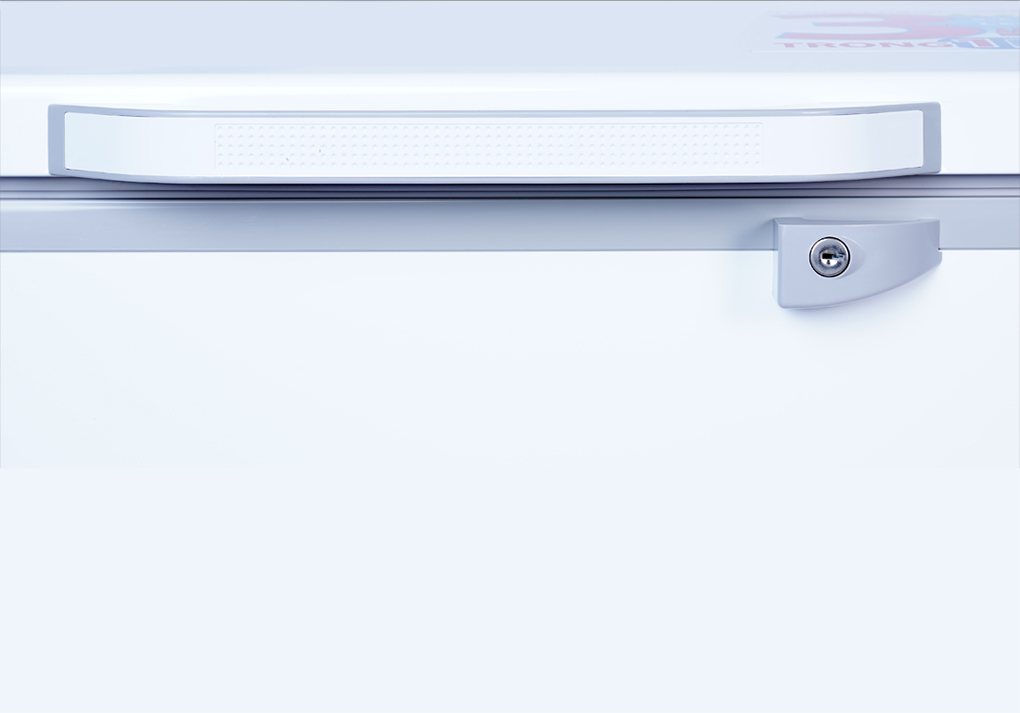 Tủ Đông Sanaky Inverter 900 Lít VH-1199HY3 4