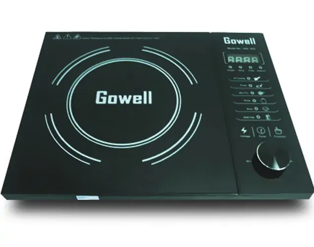 Bếp từ Gowell GW-16IC