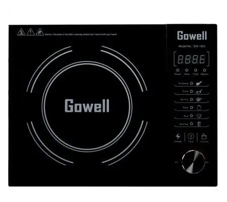 Bếp từ Gowell GW-16IC 1