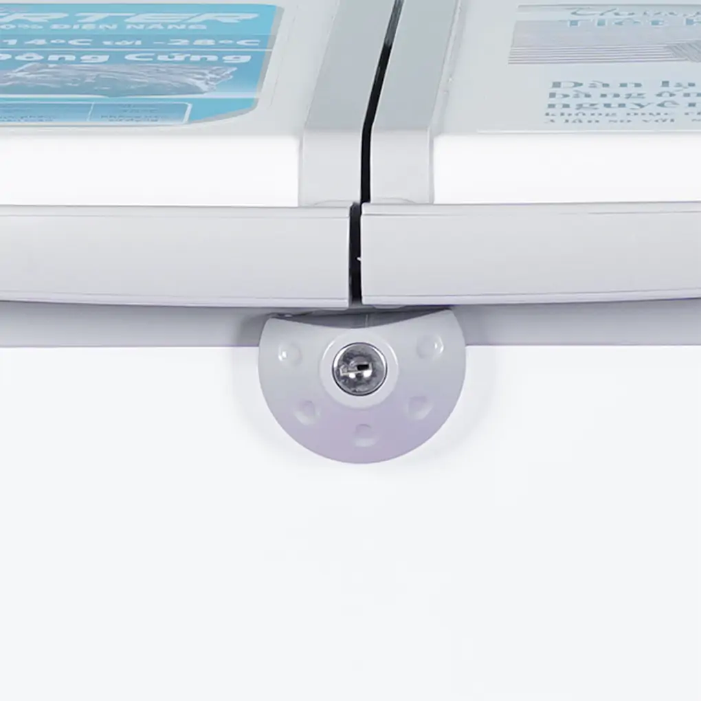 Tủ Đông Sanaky Inverter 270 Lít VH-3699A3 3