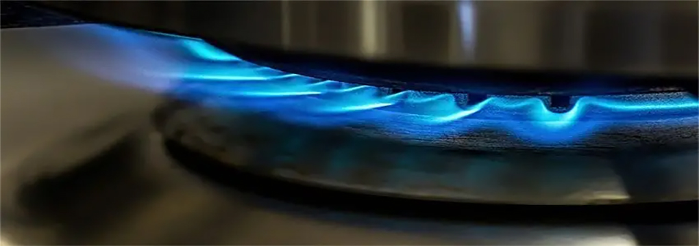 Bếp gas đơn Sunhouse SHB212KT 2