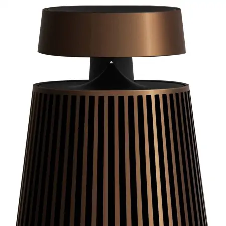 Loa Bluetooth B&O Beosound 2 Bronze 2