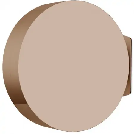 Loa Bluetooth B&O Beosound EDGE Bronze 1