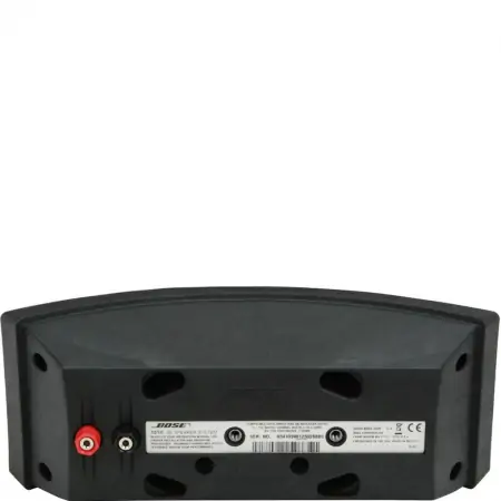 Loa Bose 151SE Environmental 2