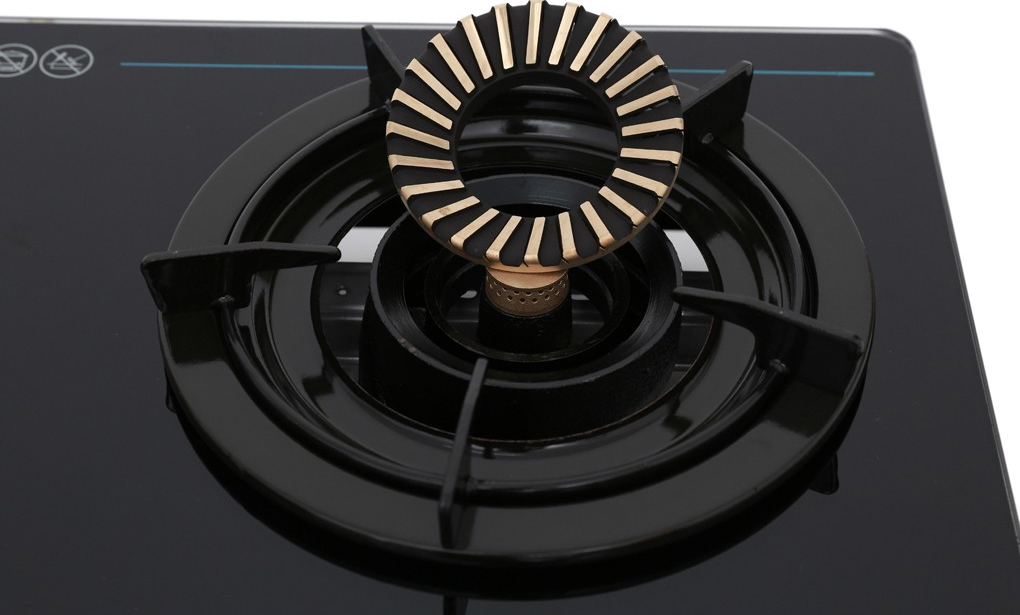 Bếp gas đôi Duxton DG-795 3