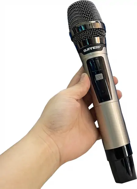 Micro Guinness M-810S 1