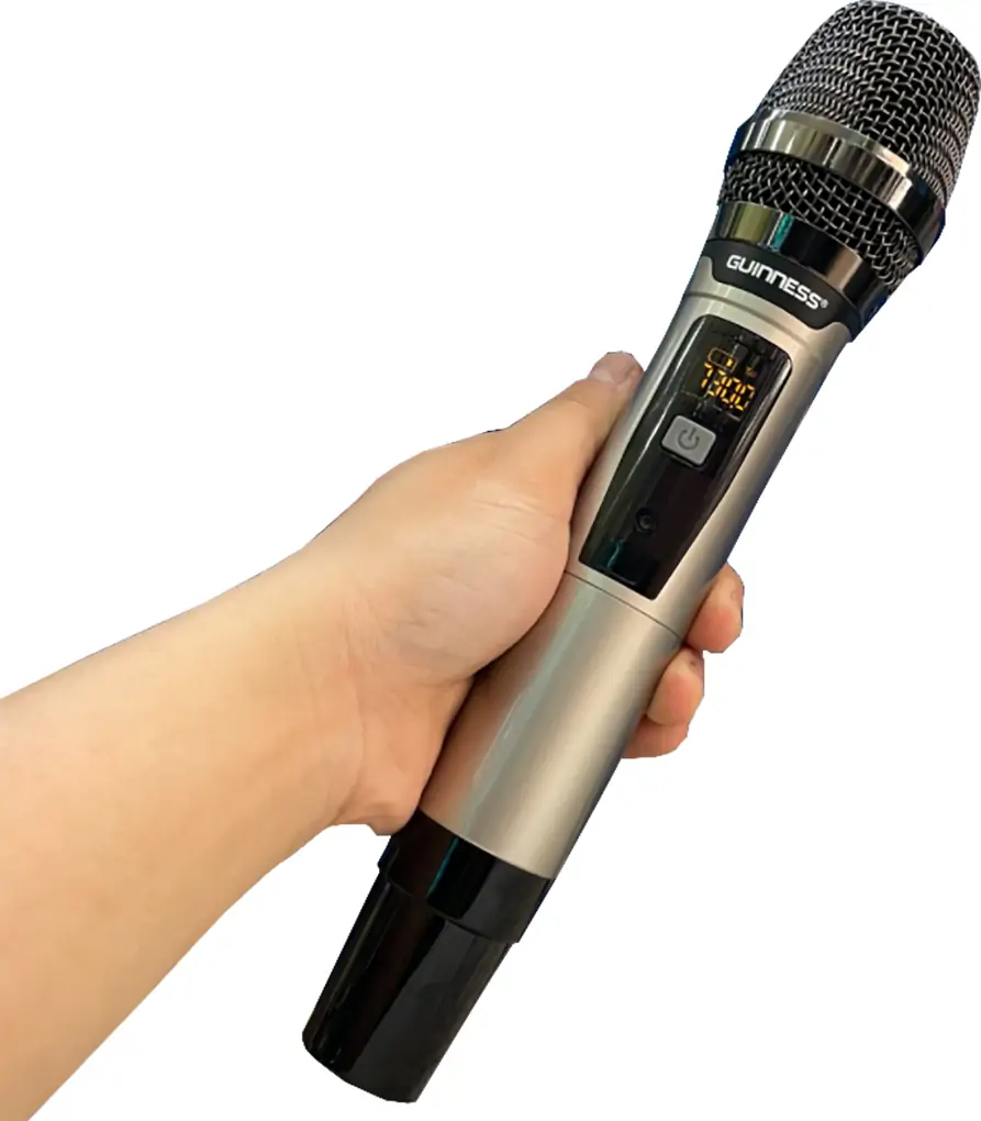 Micro Guinness M-810S 2