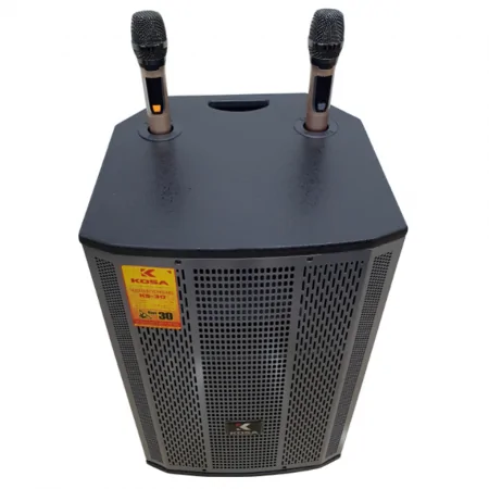 Loa Kéo Kosa KS-30 0