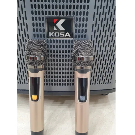 Loa Kéo Kosa KS-30 3