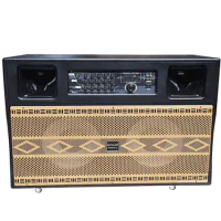 Loa Kéo Suyang P-22