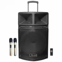 Loa Kéo Microtek MTK-16