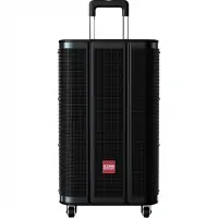 Loa Kéo Icore I-10 Kèm 2 Micro Không Dây