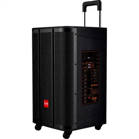 Loa Kéo Icore I-10 Kèm 2 Micro Không Dây 0