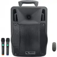 Loa Kéo Microtek MTK-06R