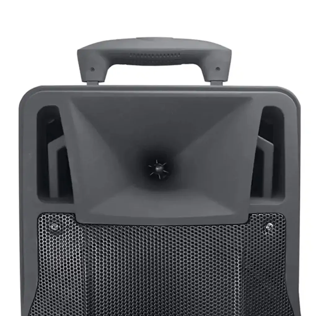 Loa Kéo Microtek MTK-06R 2