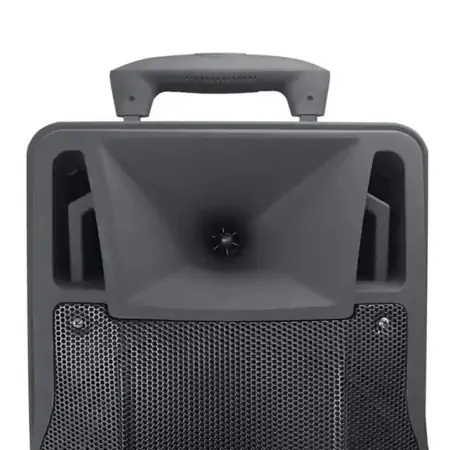 Loa Kéo Microtek MTK-06R 2