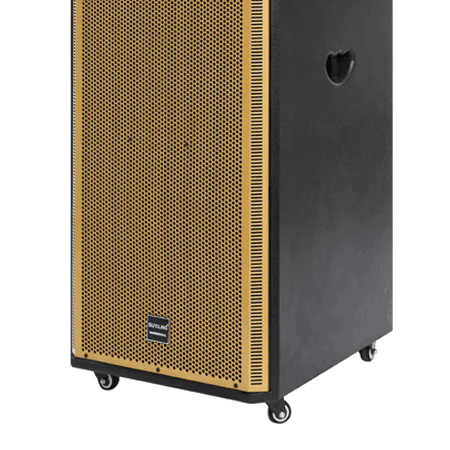 Loa Kéo Suyang P-25 5