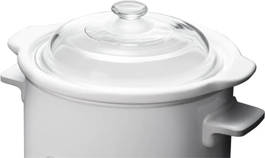 Nồi nấu chậm Panasonic NF-N30ASRA 3.0 lít 3