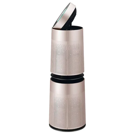 Máy lọc không khí LG PuriCare 2 tầng AS10GDPD0 0