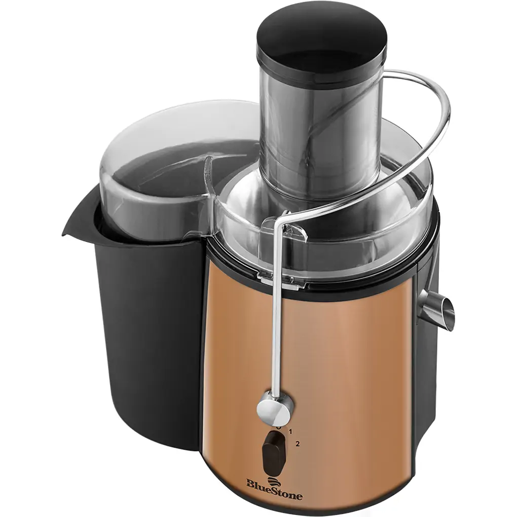 Máy ép trái cây Bluestone JEB-6545 0