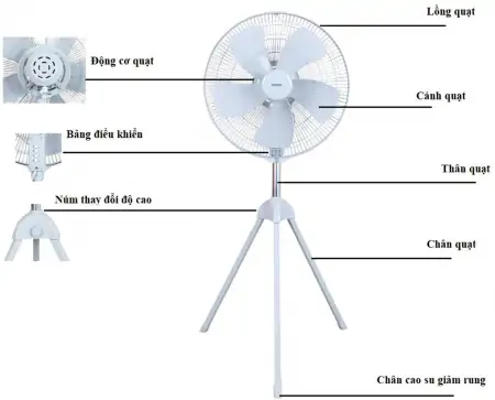 Quạt đứng công nghiệp BENNY 22" (Cánh 55cm) BF-22S 3