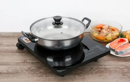 Bếp từ đơn Bluestone ICB-6619 2000W 4