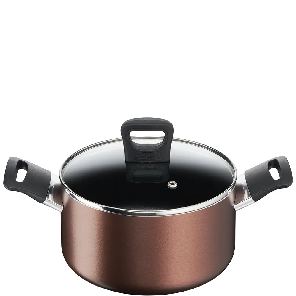 Nồi thân cao Tefal Day By Day 22cm 22 cm