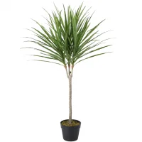 Chậu Cây Hồng Phát Tài AP011KT