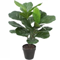 Chậu Cây Bàng A261KA