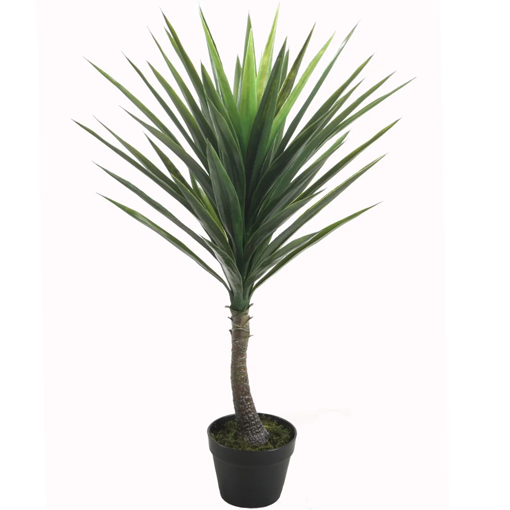 Chậu Cây Ngọc Giá OAA-KV