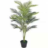 Chậu Cây Cau Vàng JWS2833