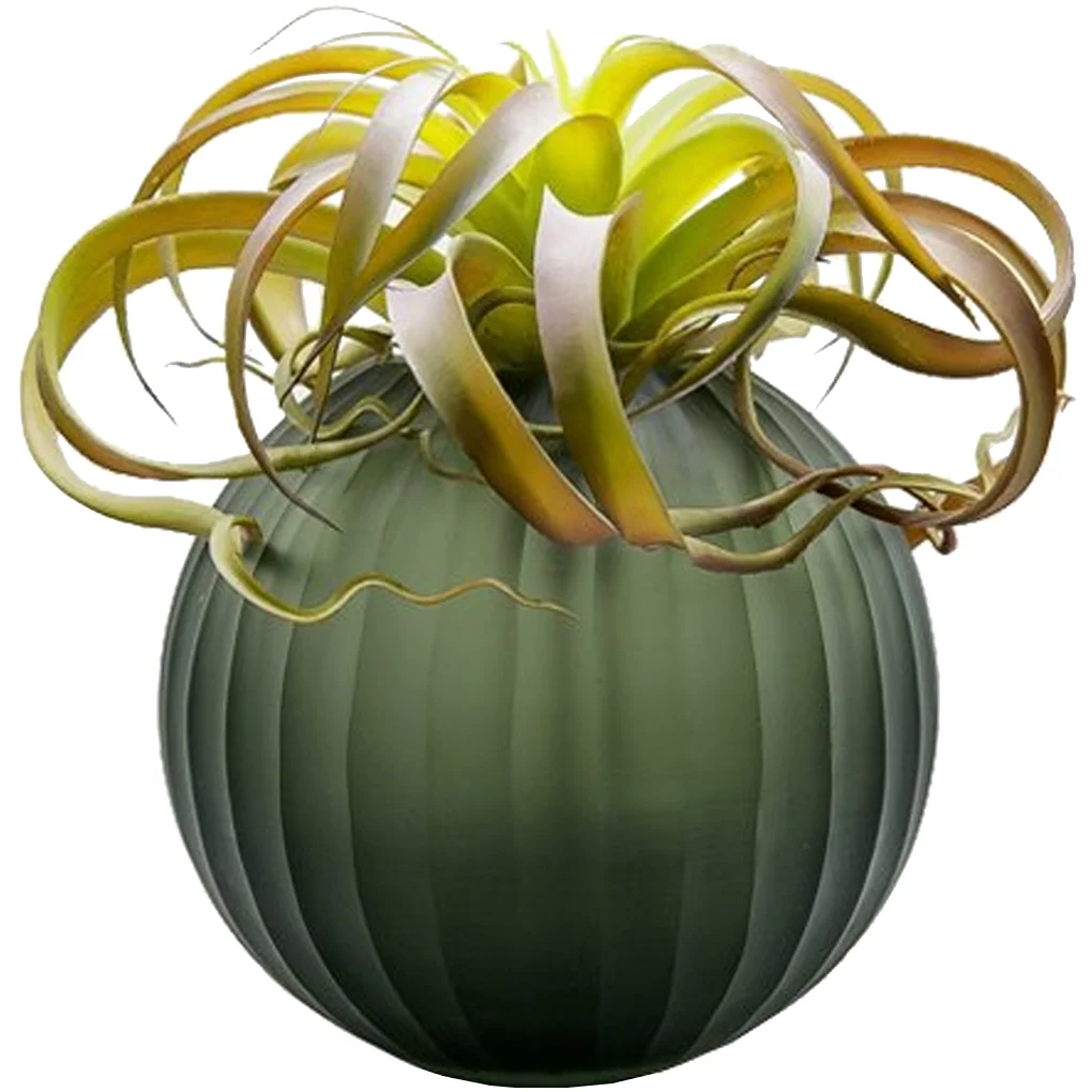 Lọ Hoa Oceanus JD180117