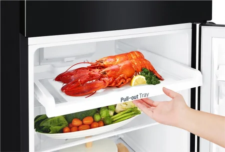 Tủ Lạnh LG Inverter 187 Lít GN-L205WB 6