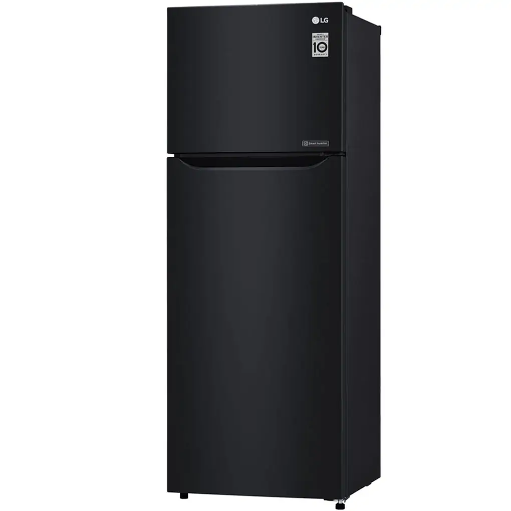 Tủ Lạnh LG Inverter 209 Lít GN-B222WB 0