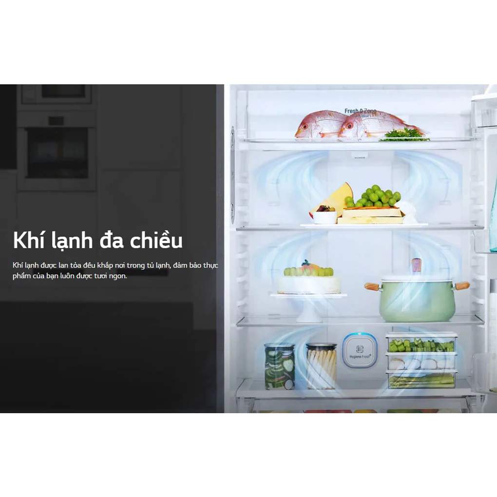 Tủ Lạnh LG Inverter 209 Lít GN-B222WB 10