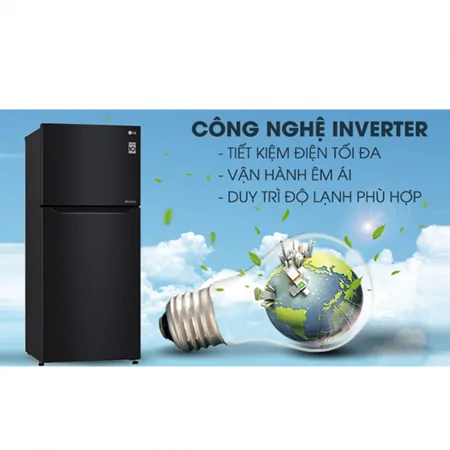 Tủ Lạnh LG Inverter 209 Lít GN-B222WB 11