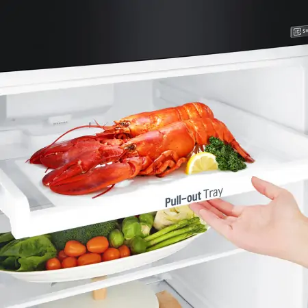 Tủ Lạnh LG Inverter 209 Lít GN-B222WB 8