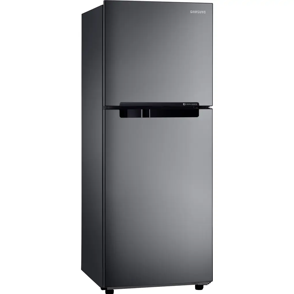Tủ Lạnh Samsung Inverter 208 Lít RT19M300BGS/SV 1
