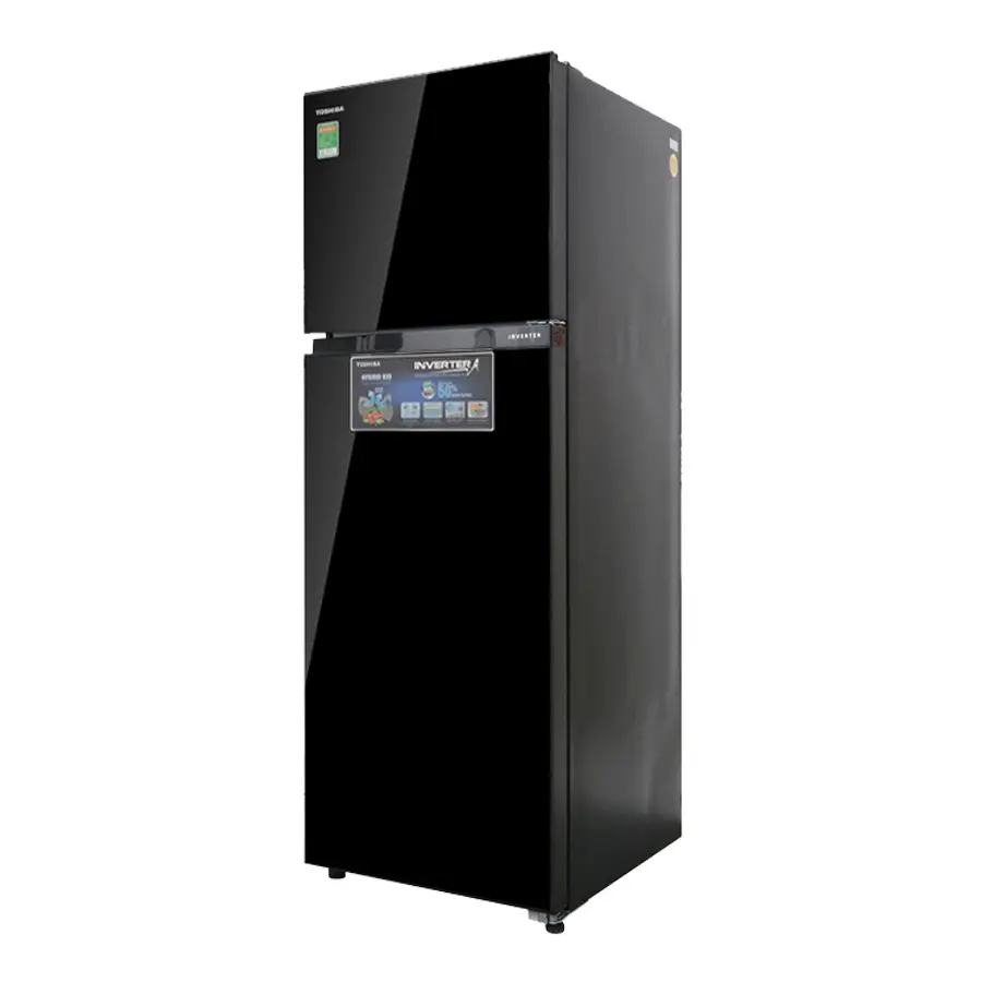 Tủ lạnh Toshiba Inverter 330 lít GR-AG39VUBZ(XK1) 0