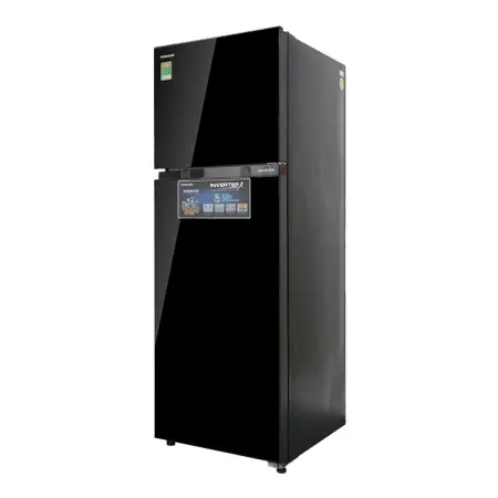 Tủ lạnh Toshiba Inverter 330 lít GR-AG39VUBZ(XK1) 0