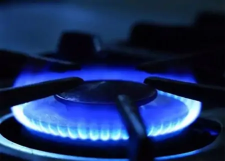 Bếp gas đôi Rinnai RV-715SLIM (GL-Bubble) 2