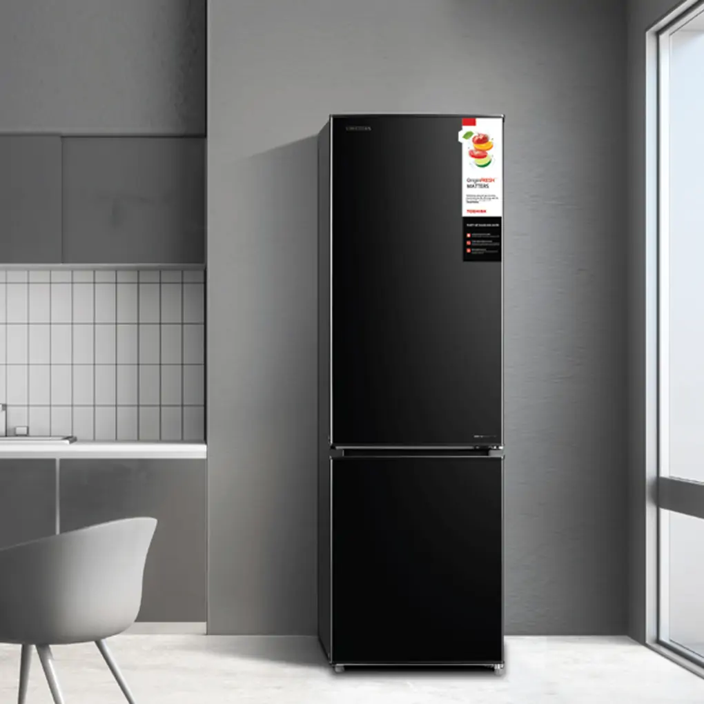 Tủ Lạnh Toshiba Inverter 270 Lít GR-RB350WE-PMV(30)-BS 3