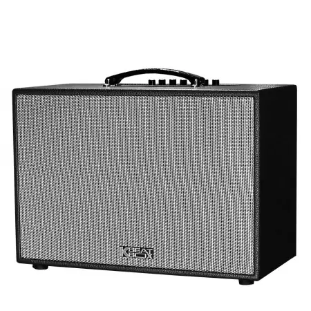 Loa Karaoke mini xách tay ACNOS CS250PU (Đen) 0