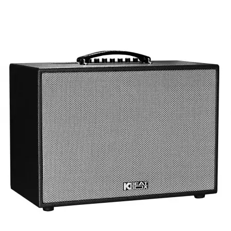 Loa Karaoke mini xách tay ACNOS CS250PU (Đen) 2