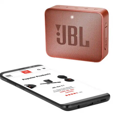 Loa Bluetooth JBL GO2CINNAMON 3