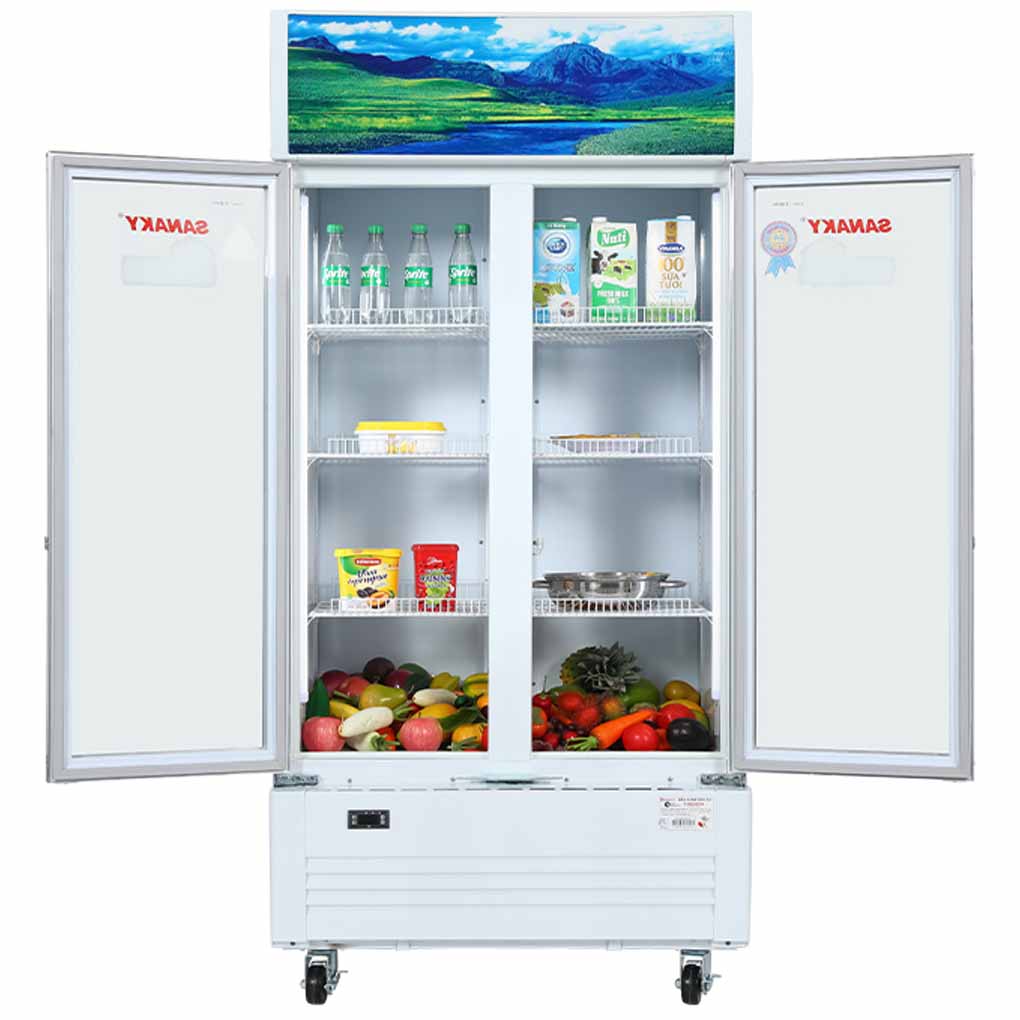 Tủ Mát Sanaky 600 Lít VH-6009HP 2